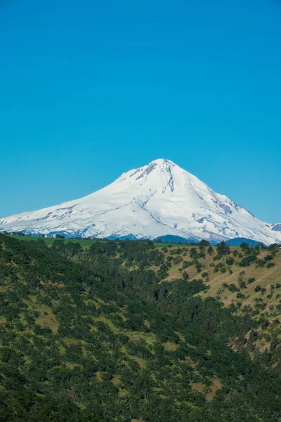 Východní Strana Sněhu Byla Pokryta Mount Hood Oregonu — Stock fotografie