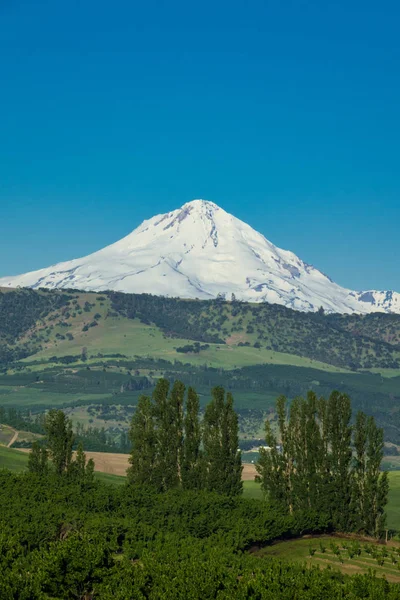 Agricultural Land Base Mount Hood Oregon — Stock Photo, Image