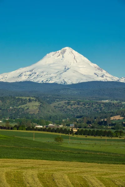 Terreno Agrícola Base Mount Hood Oregon —  Fotos de Stock