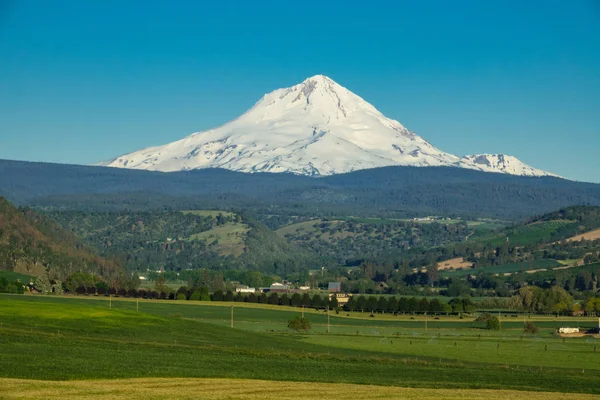 Agricultural Land Base Mount Hood Oregon — Stock Photo, Image