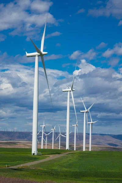 Větrné Turbíny Nad Pole Pšenice Východní Oregon — Stock fotografie