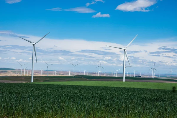 Windkraftanlagen Über Weizenfeldern Ostoregon — Stockfoto