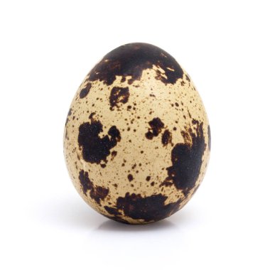 Bir bıldırcın yumurtası.