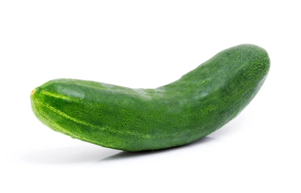 Whole cucumber isolated on white — Stock Photo, Image