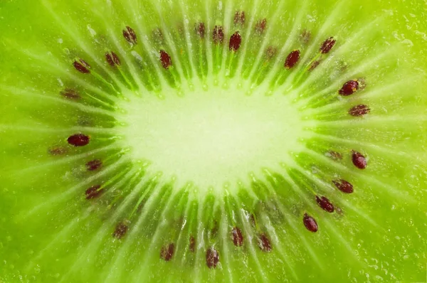 Close up kiwi slice background — Stock Photo, Image