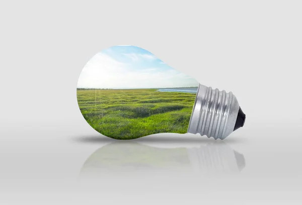 Glödlampa med naturen släpper — Stockfoto