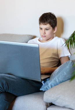 Oturma odasındaki kanepede oturan beyaz tişörtlü tatlı genç çocuk dizüstü bilgisayarla ders çalışıyor. Evde eğitim, kişisel eğitim, çocukların uzaktan öğrenme.