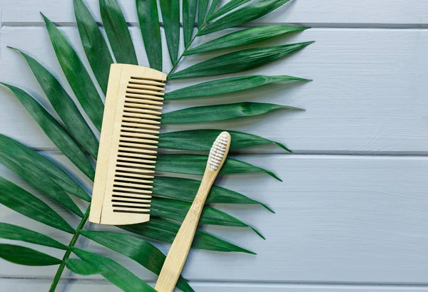 Close Wooden Massage Brushes Skin Body Care Monstera Tropic Leaf — Stock Photo, Image