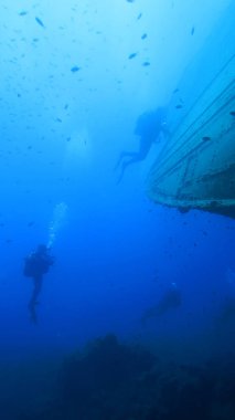 Tüplü dalış. batık gemi