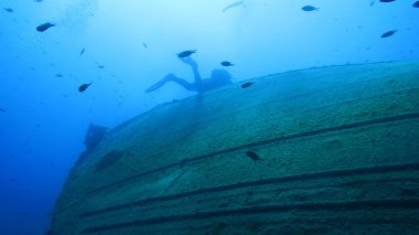 Tüplü dalış. batık gemi