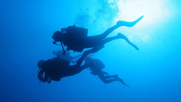 Silhouette immersioni subacquee . — Foto Stock