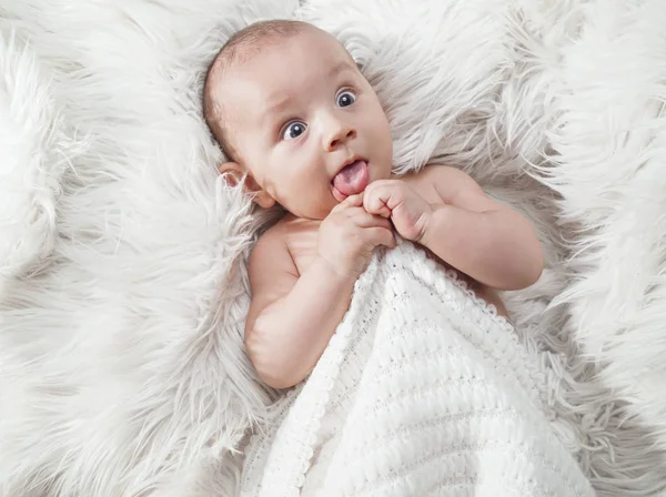 Baby boy, studio shot — Stock Photo, Image