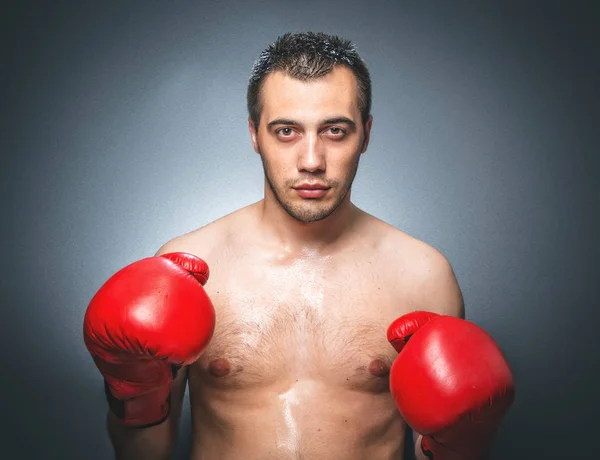 Boxeador, toma de estudio —  Fotos de Stock