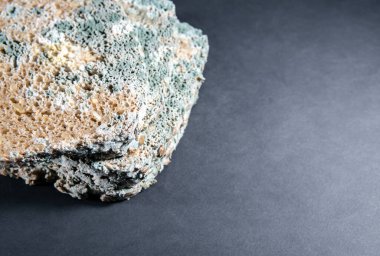 Yakın çekim küflü ekmek, çürük ve yenmez. Küflenmiş yiyecek dilimleri.