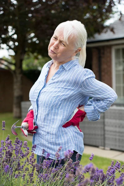 Mujer mayor que sufre de dolor de espalda mientras que la jardinería en casa —  Fotos de Stock