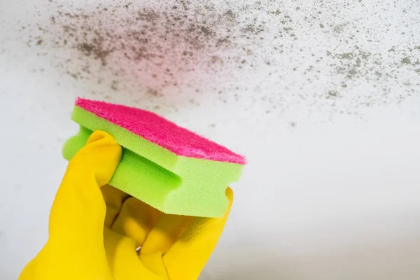 Close Up di stampo per la pulizia delle mani dal soffitto — Foto Stock