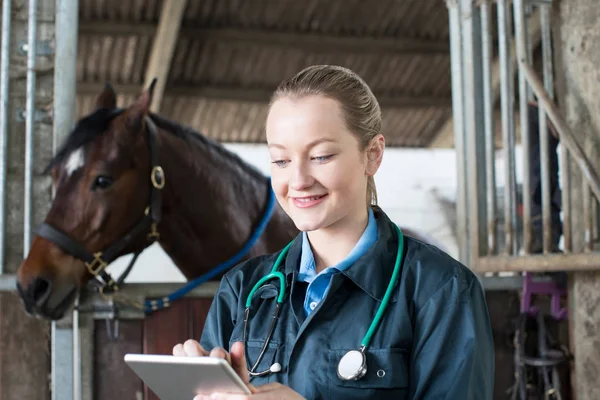 Veterinaria femenina con tableta digital examinando caballo en establo —  Fotos de Stock