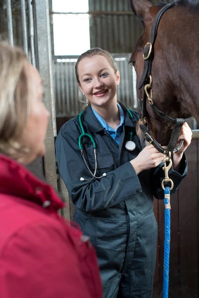 Female Vet Examining Horse In Stables With Owner