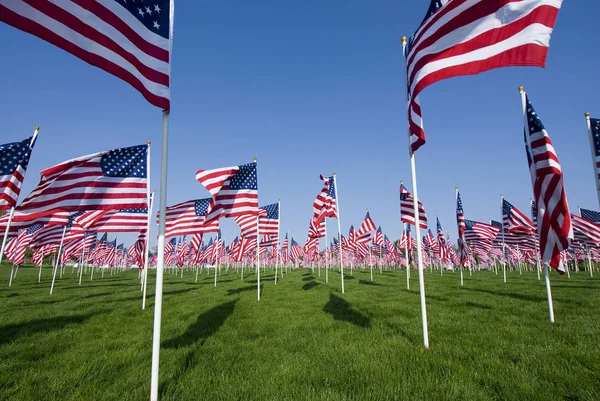 Více amerických vlajek v řadách v travnatém poli — Stock fotografie