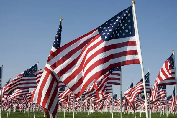 Várias bandeiras americanas com uma bandeira mais proeminente — Fotografia de Stock