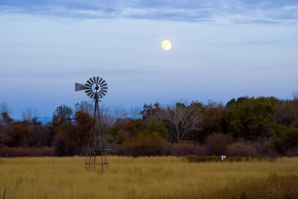 Still windmill standing in a brown grassy field backlit by the m — 스톡 사진