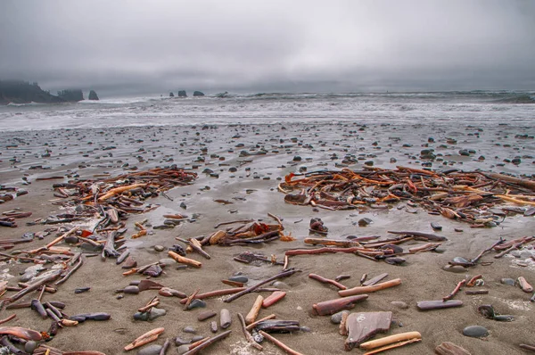 Driftwood e ciottoli spargono la spiaggia al largo della costa durante un c — Foto Stock