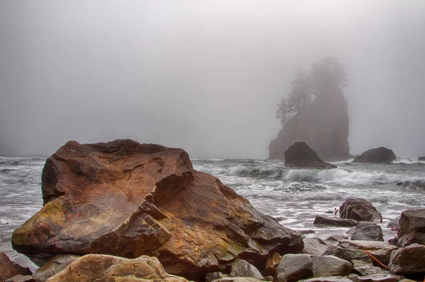 Niebla empujando hacia los árboles que crecen desde la roca — Foto de Stock