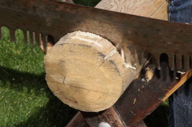 Antika bir testere ile bir parça kütük kestim.