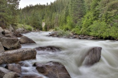 Akıp giden nehir suyu hızlı hareket ediyor ve bulanıklaşıyor 