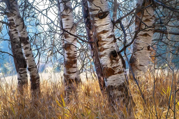 Illustration of back lit poplar tree trunks — Stock Photo, Image