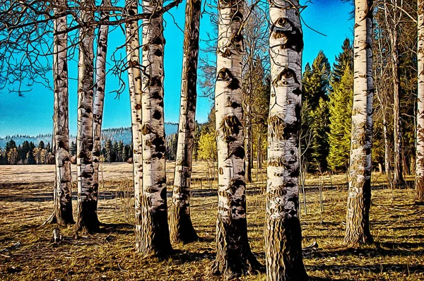 Illustration of a Stand of White Bark Tree Trunks — Stock Photo, Image