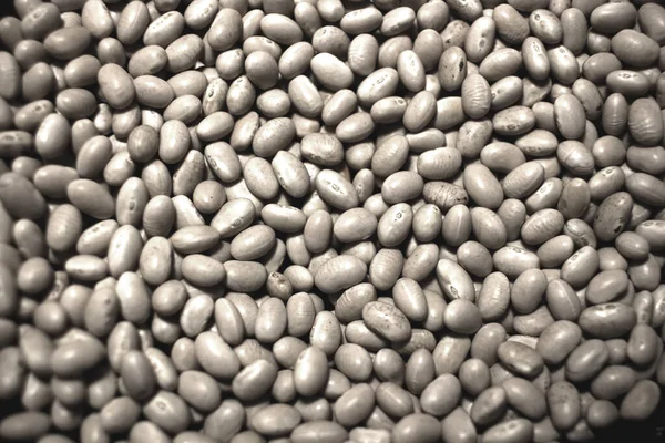 Beans White Beans Background Many Grains Dried Beans White Beans — Stock Photo, Image