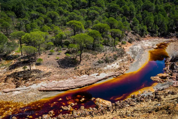 Rio Tintos Wasser Vordergrund Andalusien Spanien — Stockfoto