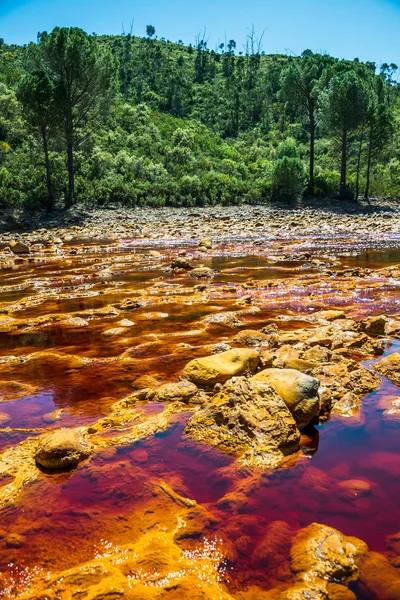 Rio Tinto Water Foreground Andalusia Spain — Stock Photo, Image