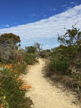 Mavi gökyüzü ile çim ve kuraklığa dayanıklı bitkiler arasında yürüyüş yolu