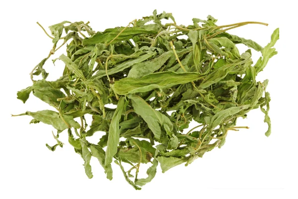 Dried Stevia leaves (sweet leaf, Sugar leaf) a sweetener and sugar substitute — Stock Photo, Image