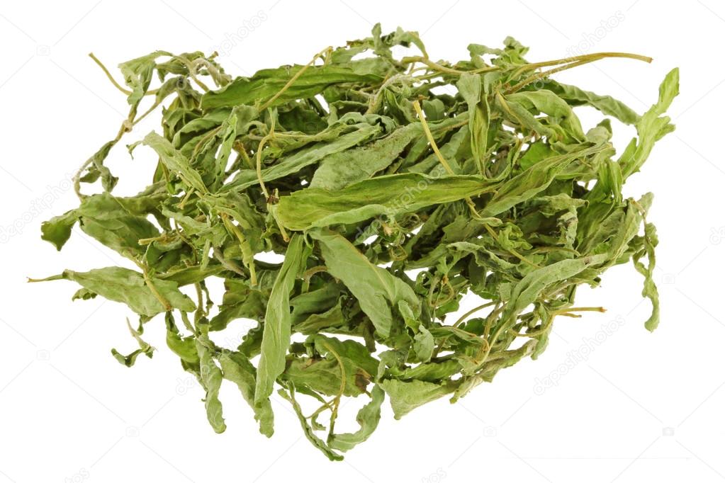 Dried Stevia leaves (sweet leaf, Sugar leaf) a sweetener and sugar substitute
