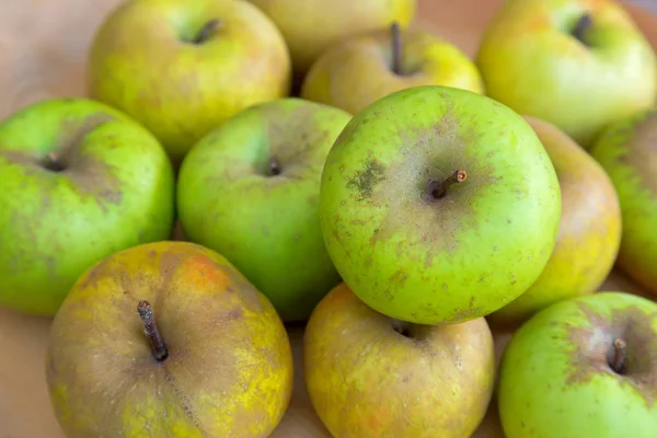 Вибірковий фокус недосконалою дивлячись органічних Belle de Boskoop яблука — стокове фото