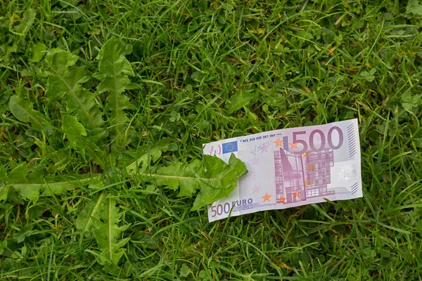 Ötszáz 500 euró bankjegy pénzt számla, a friss, zöld fű — Stock Fotó