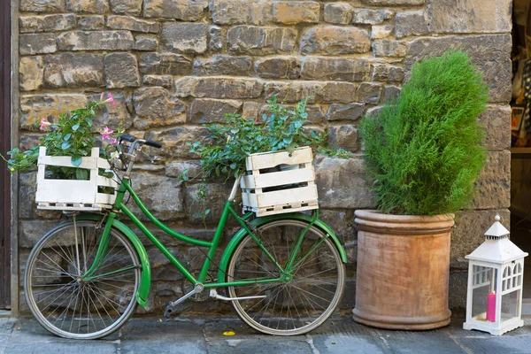 Bicicleta de estilo antiguo en verde con caja de plantas con flores Mandevilla — Foto de Stock
