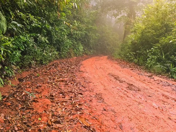 Nasser roter Kiesweg voller getrockneter brauner Herbstblätter führt zu Unbekanntem — Stockfoto