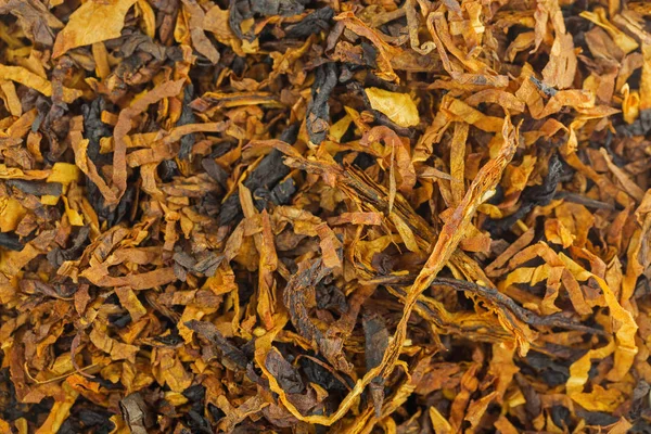 Struttura di fondo primo piano del classico tabacco da pipa aromatico miscelato — Foto Stock