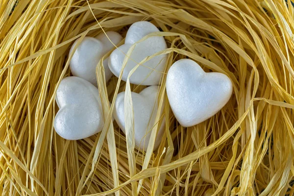 5 corações brancos em forma de coração em um ninho de pássaros — Fotografia de Stock
