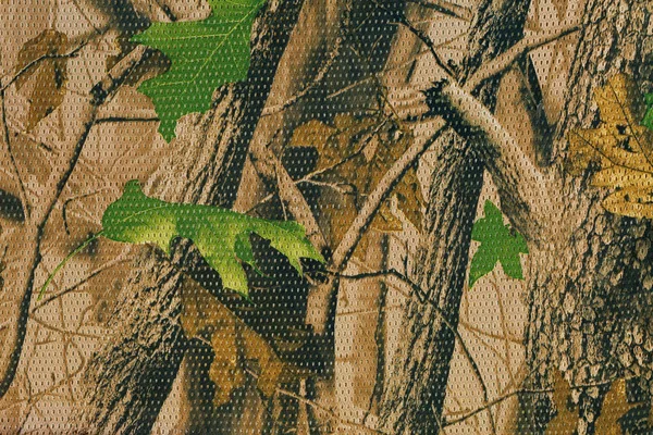 Camouflage pattern for hiding, disguising. Detailed texture of dried leaf