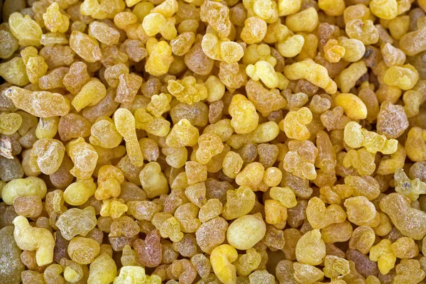 Aromatic yellow resin gum incense from Sudanese Frankincense tree — Stock Photo, Image