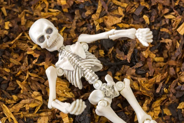 Ossa del corpo morto scheletro poggianti su tabacco aromatico miscelato classico — Foto Stock