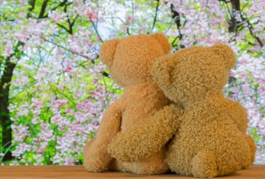 Çift şirin kahverengi ayılar birbirlerine sarılma pembe Sakura çiçek açması arka plan ile ahşap üzerine oturan