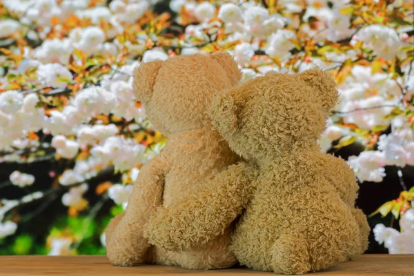 Cute para niedźwiedzie brunatne, siedząc na drewno przytulanie siebie z różowym tle Sakura — Zdjęcie stockowe