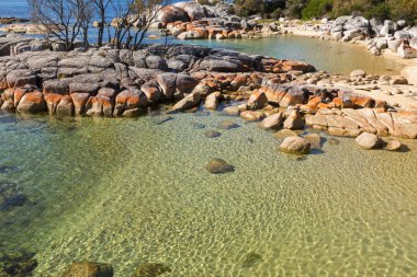 Pretty Coastal scene with turquoise waters rippled, rocky coastline, Tasmania clipart