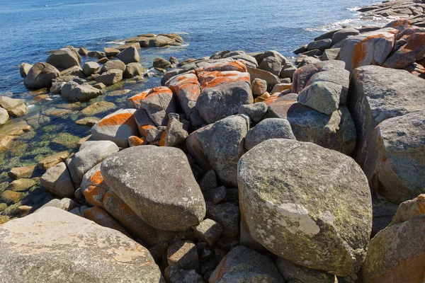 Червоний помаранчевий лишайниками ростуть на гранітні скелі утворень, rocky берегової лінії, Тасманія — стокове фото